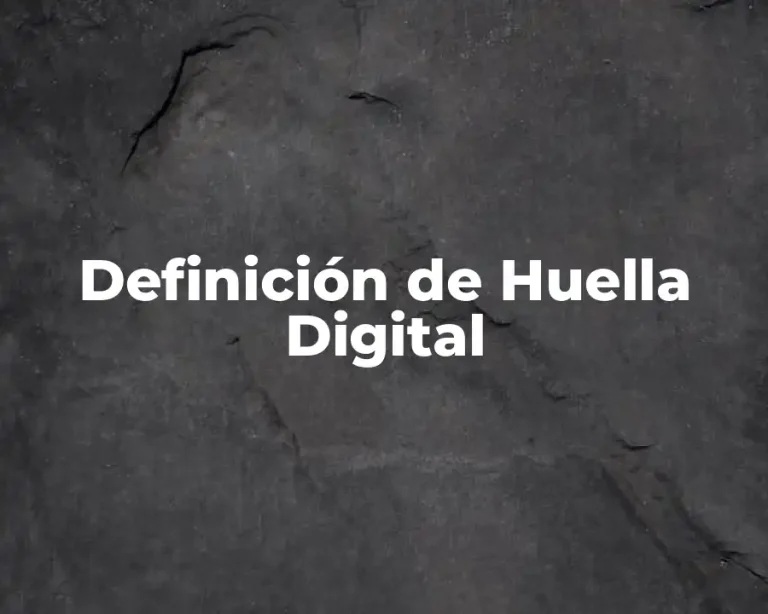 Definición de Huella Digital