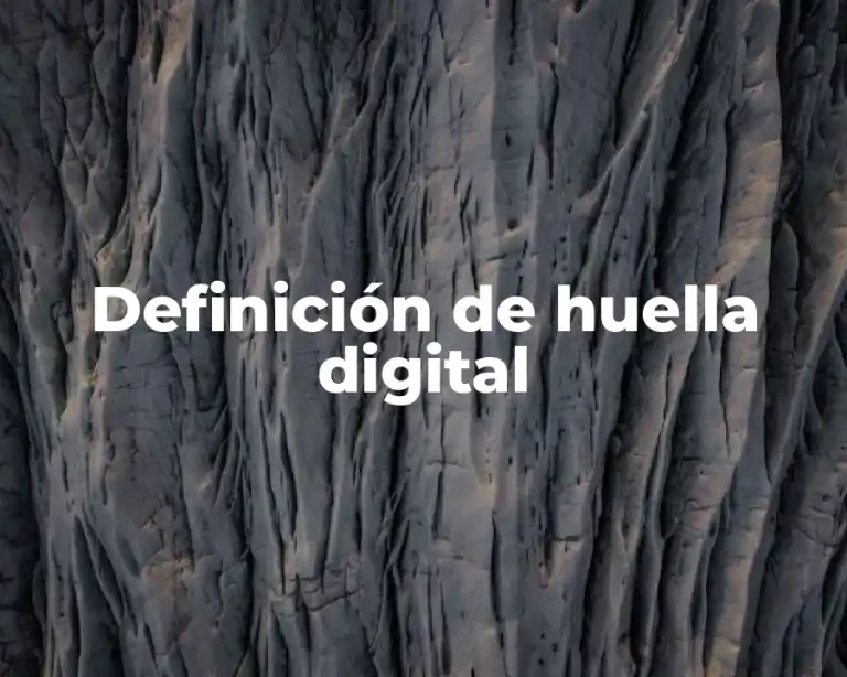 Definición de huella digital