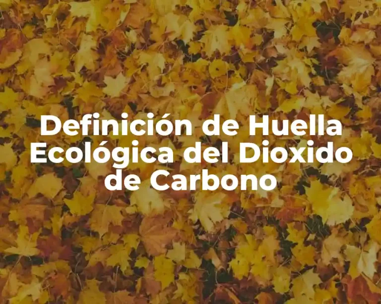 Definición de Huella Ecológica del Dioxido de Carbono