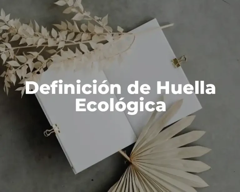 Definición de Huella Ecológica