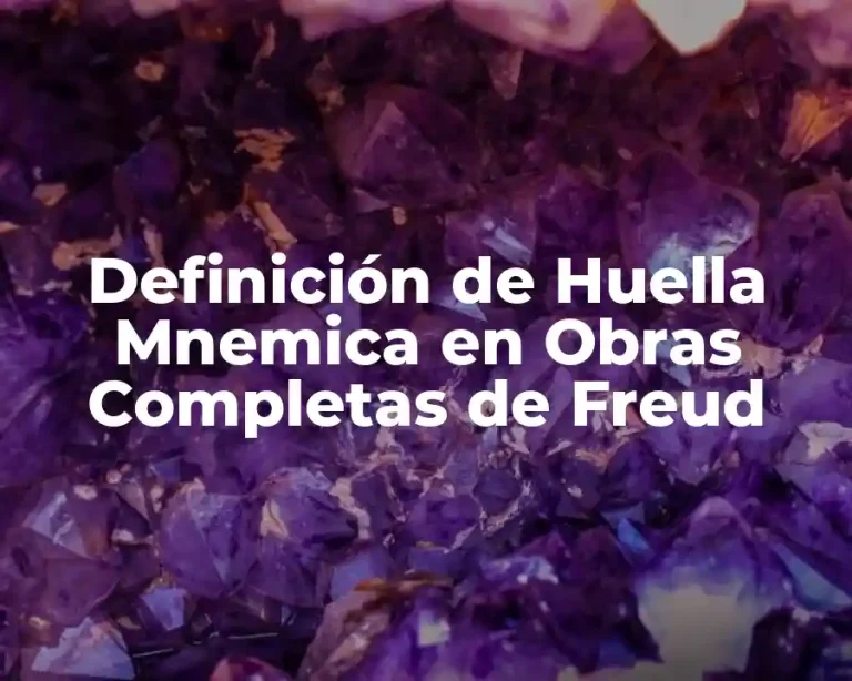 Definición de Huella Mnemica en Obras Completas de Freud