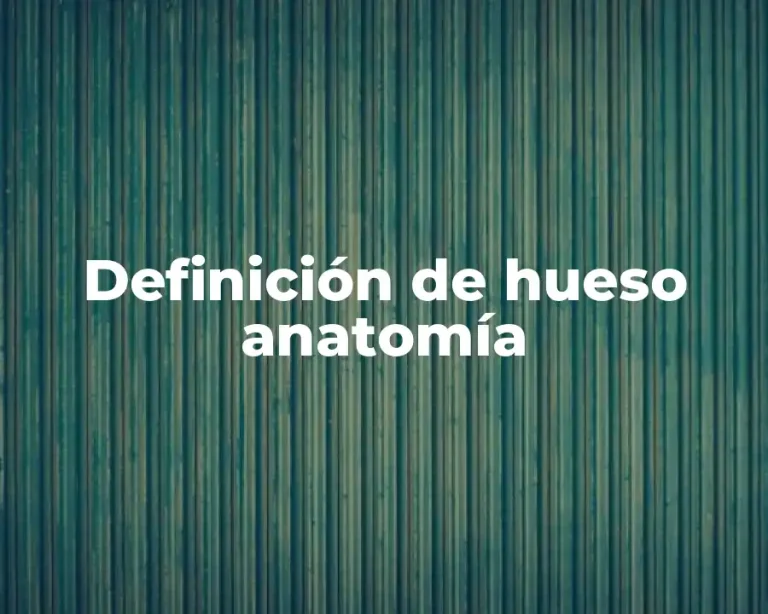 Definición de hueso anatomía