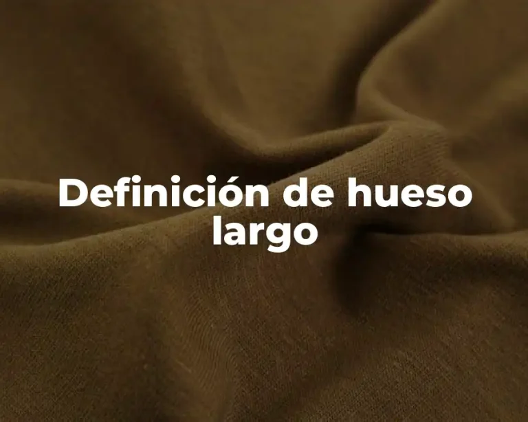 Definición de hueso largo