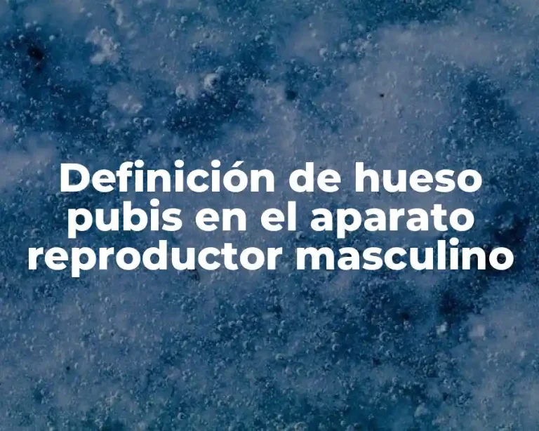 Definición de hueso pubis en el aparato reproductor masculino