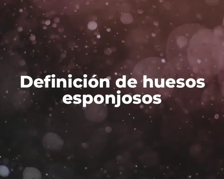 Definición de huesos esponjosos