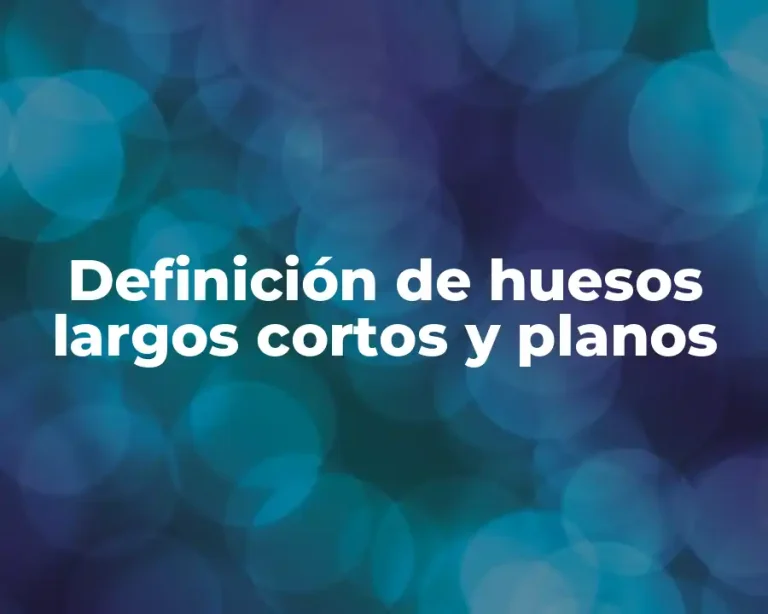 Definición de huesos largos cortos y planos