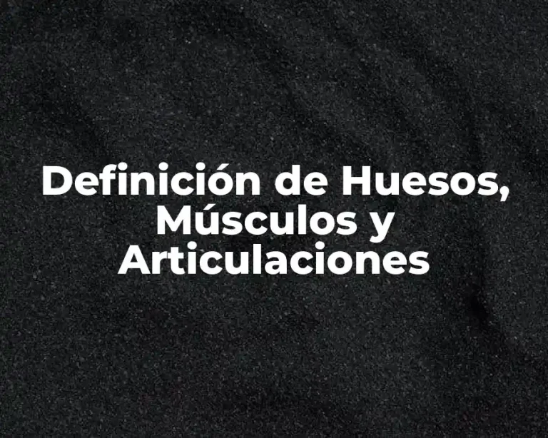 Definición de Huesos, Músculos y Articulaciones