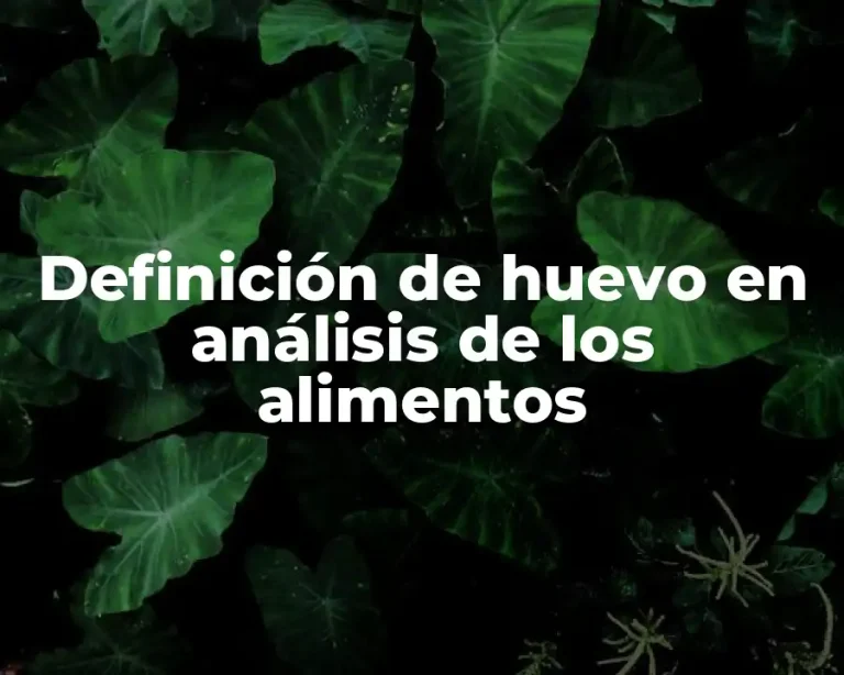 Definición de huevo en análisis de los alimentos