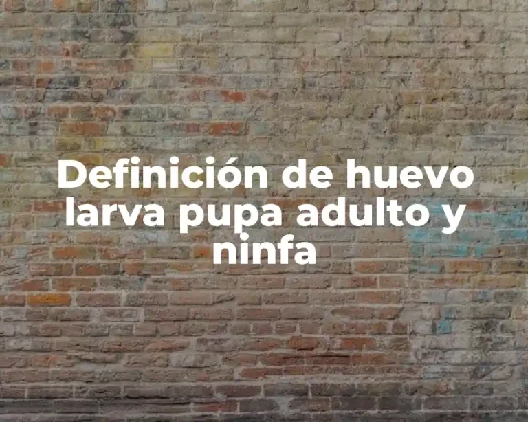 Definición de huevo larva pupa adulto y ninfa