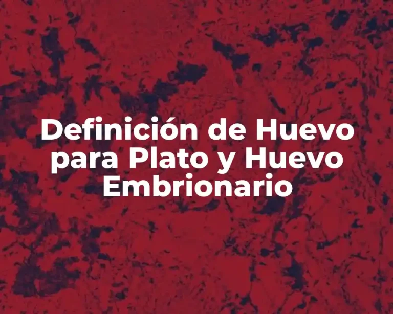 Definición de Huevo para Plato y Huevo Embrionario