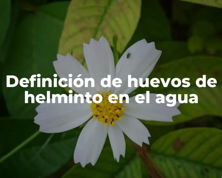 Definición de huevos de helminto en el agua