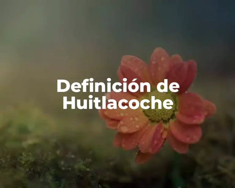 Definición de Huitlacoche