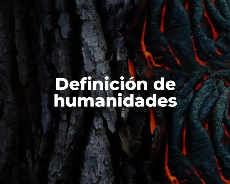 Definición de Humanidades