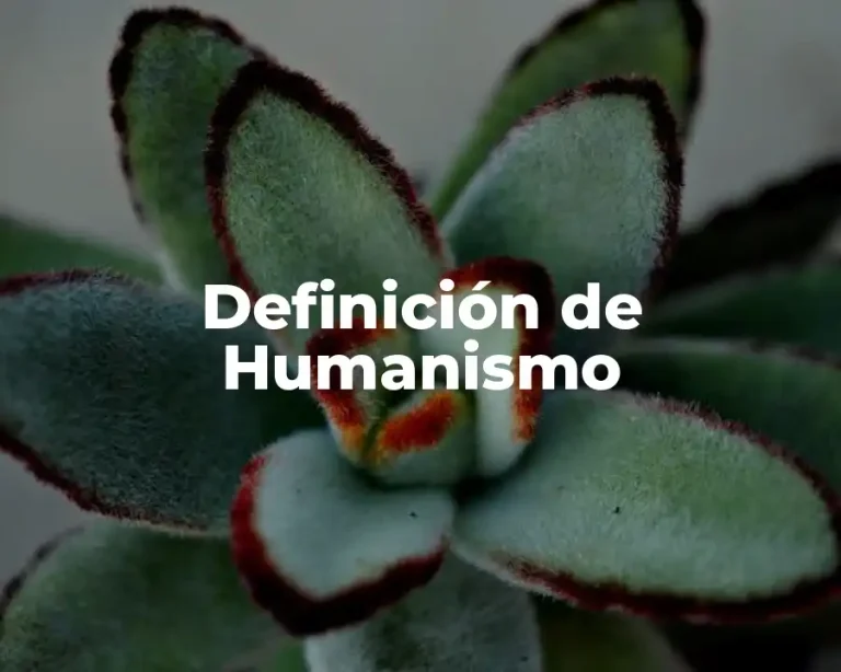 Definición de Humanismo