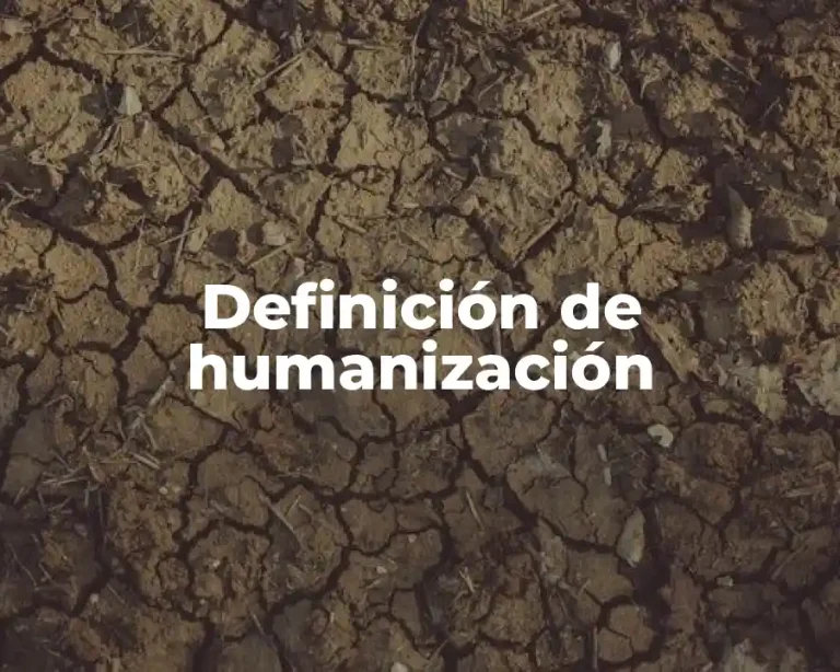 Definición de humanización