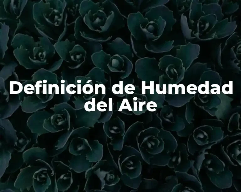 Definición de Humedad del Aire