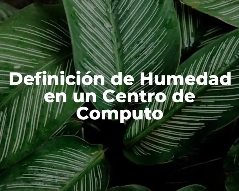 Definición de Humedad en un Centro de Computo