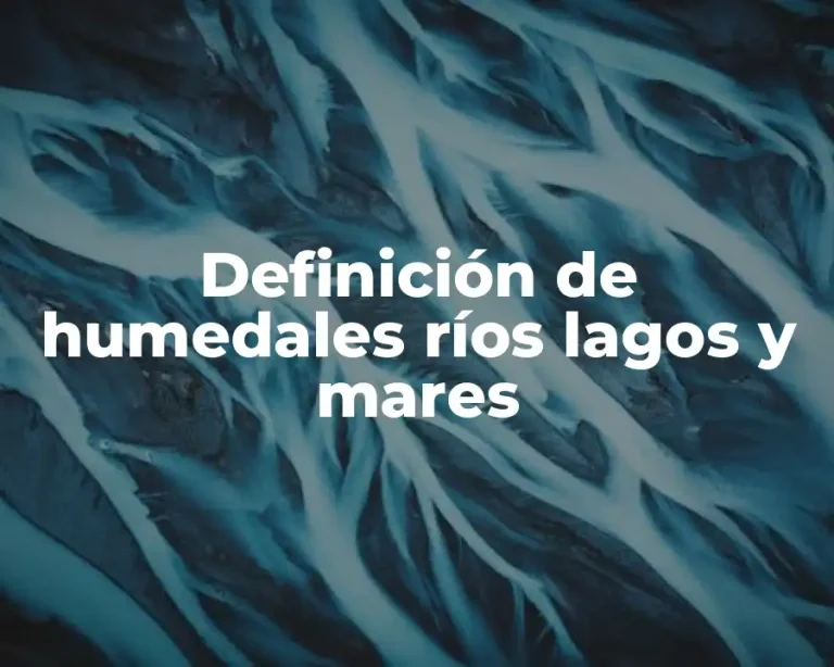 Definición de humedales ríos lagos y mares