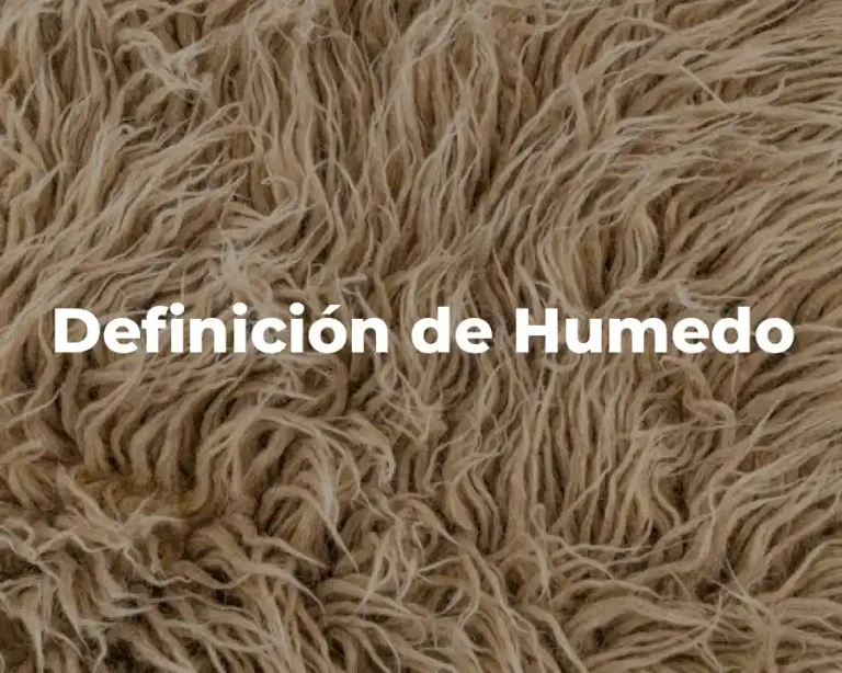 Definición de Humedo