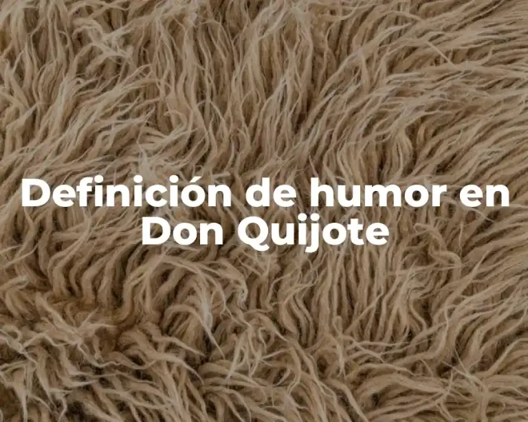 Definición de humor en Don Quijote