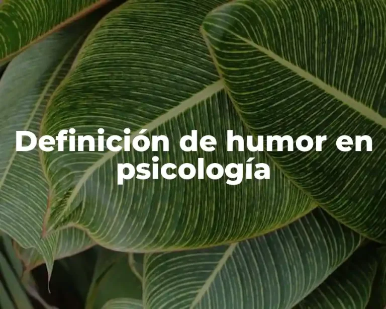 Definición de humor en psicología
