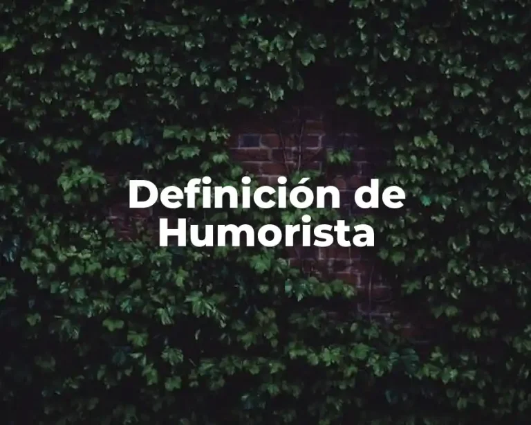 Definición de Humorista