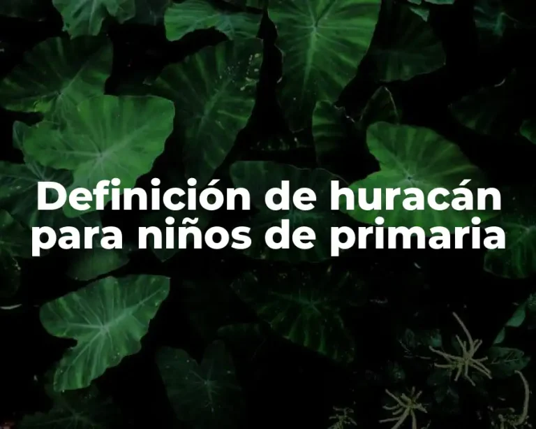 Definición de huracán para niños de primaria