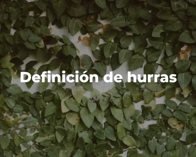 Definición de hurras