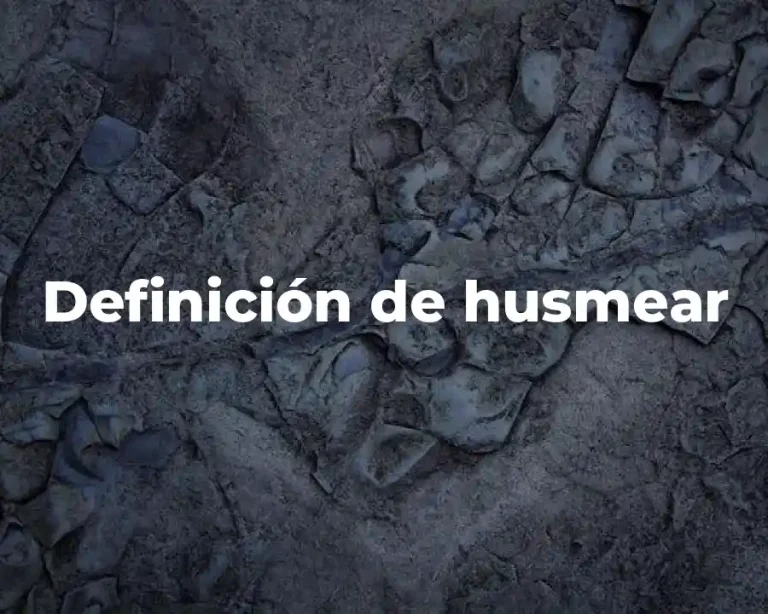 Definición de husmear