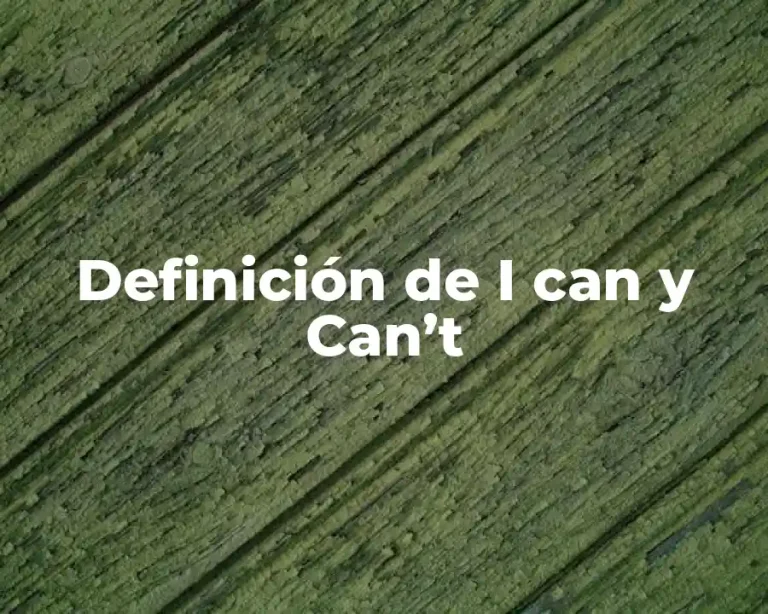 Definición de I can y Can’t
