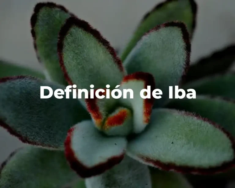 Definición de Iba