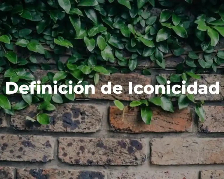 Definición de Iconicidad