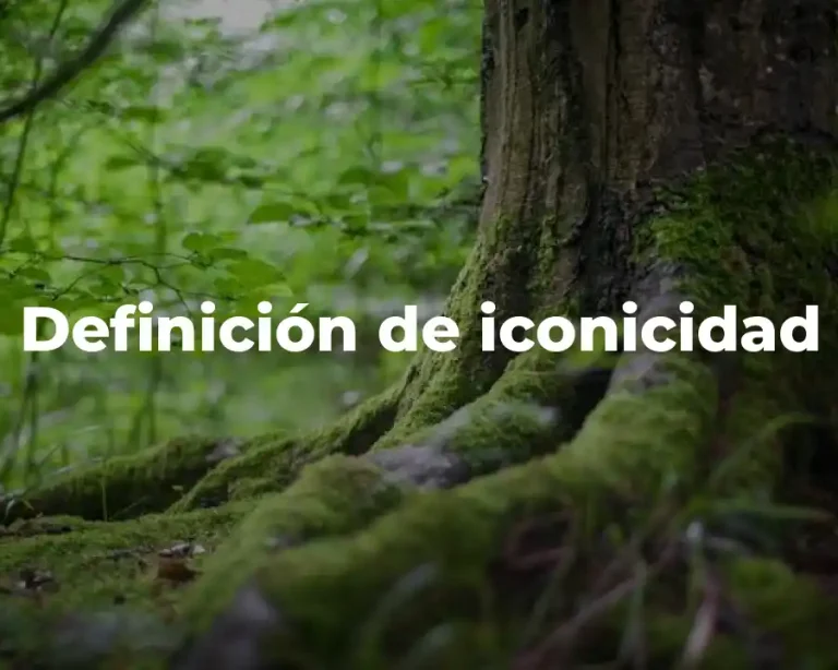 Definición de iconicidad