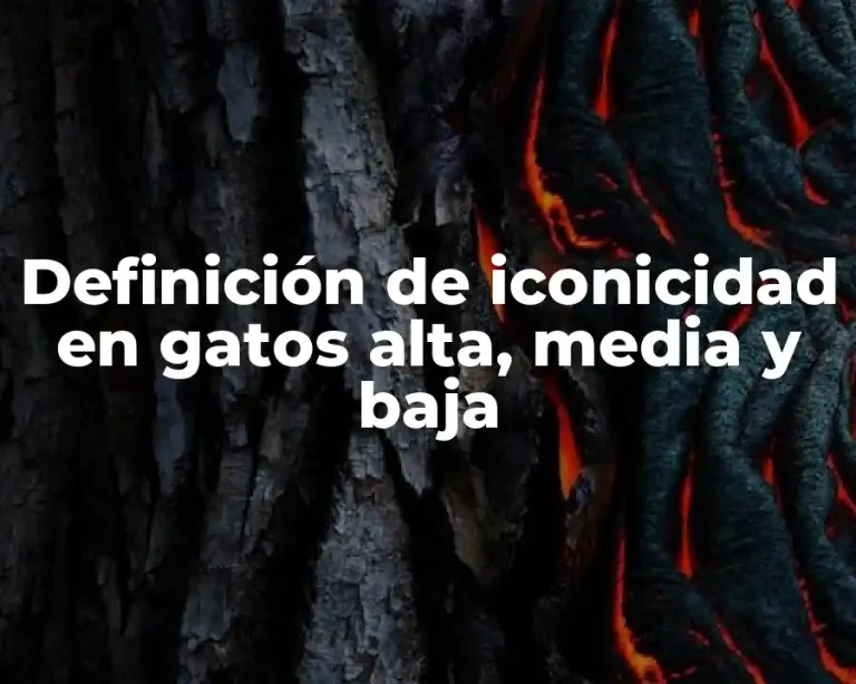 Definición de iconicidad en gatos alta, media y baja