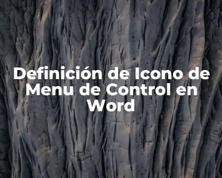 Definición de Icono de Menu de Control en Word