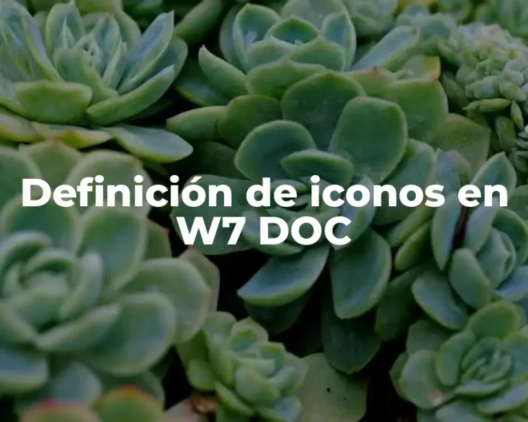 Definición de iconos en W7 DOC