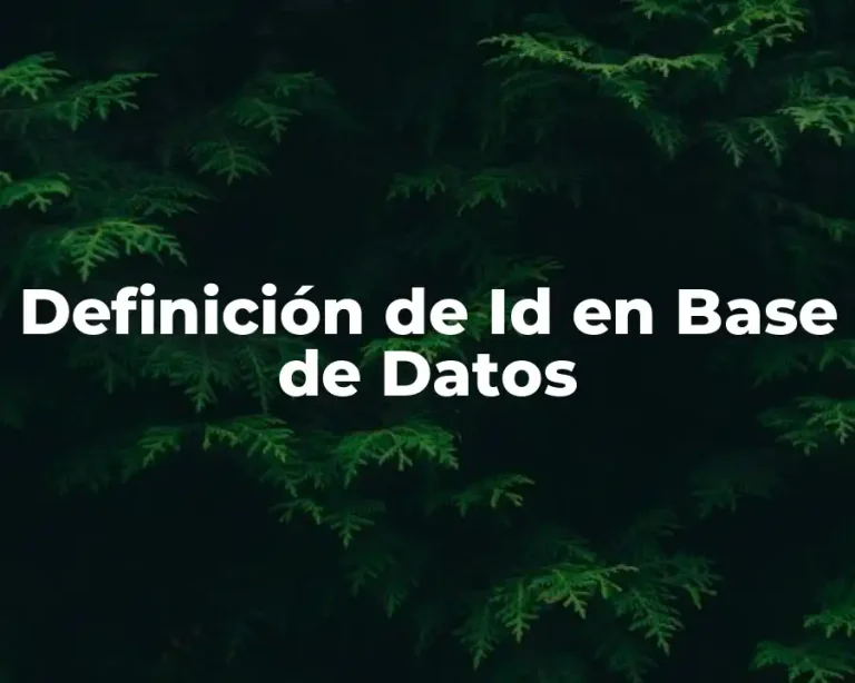 Definición de Id en Base de Datos