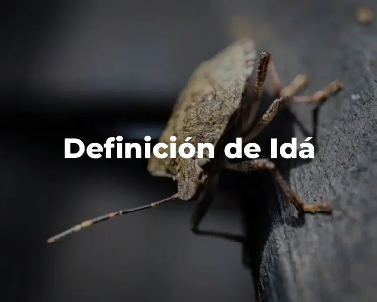 Definición de Idá