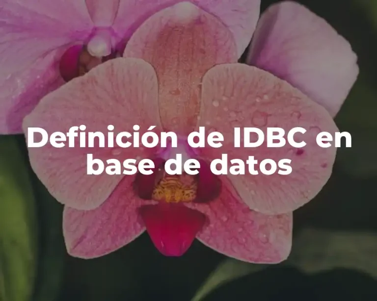 Definición de IDBC en base de datos