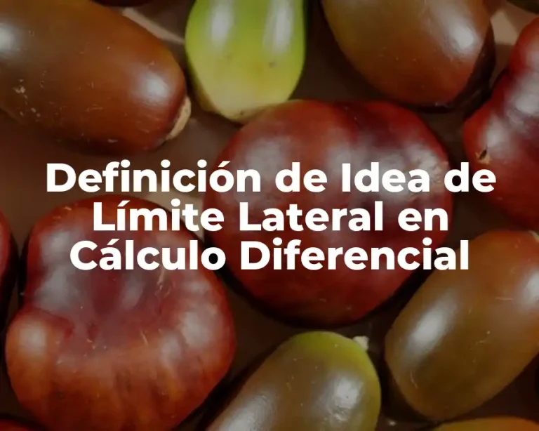 Definición de Idea de Límite Lateral en Cálculo Diferencial