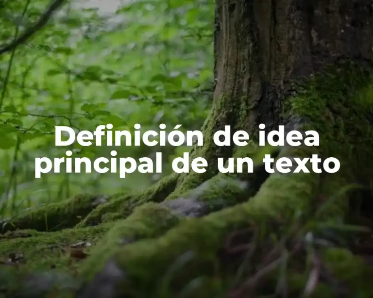 Definición de idea principal de un texto