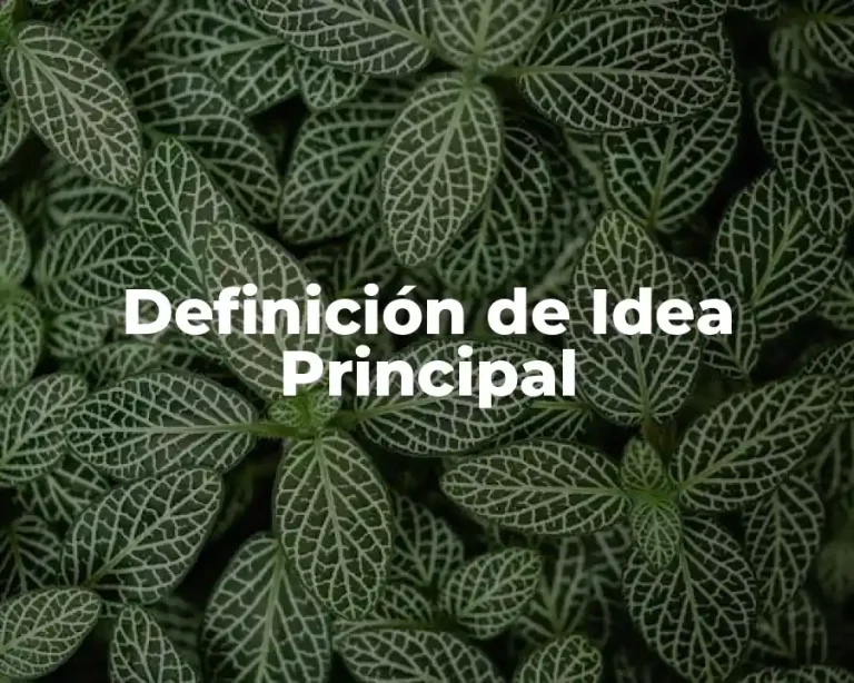 Definición de Idea Principal