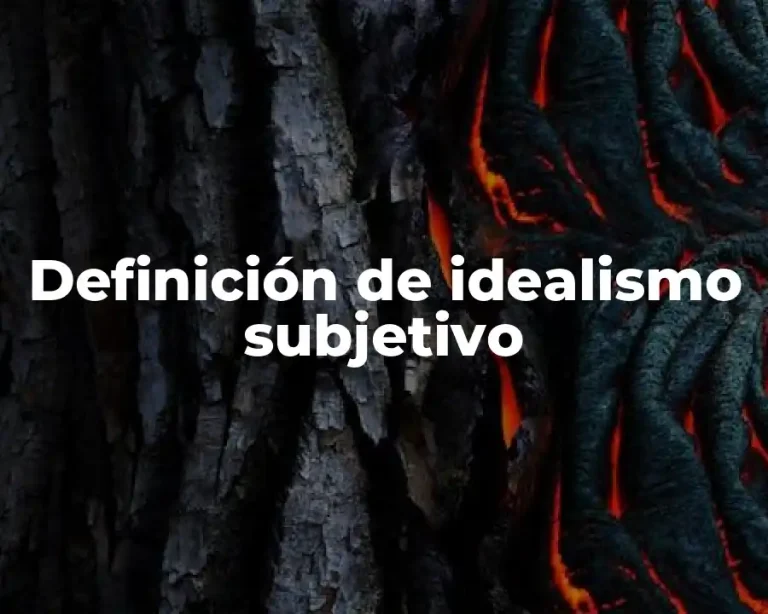 Definición de idealismo subjetivo