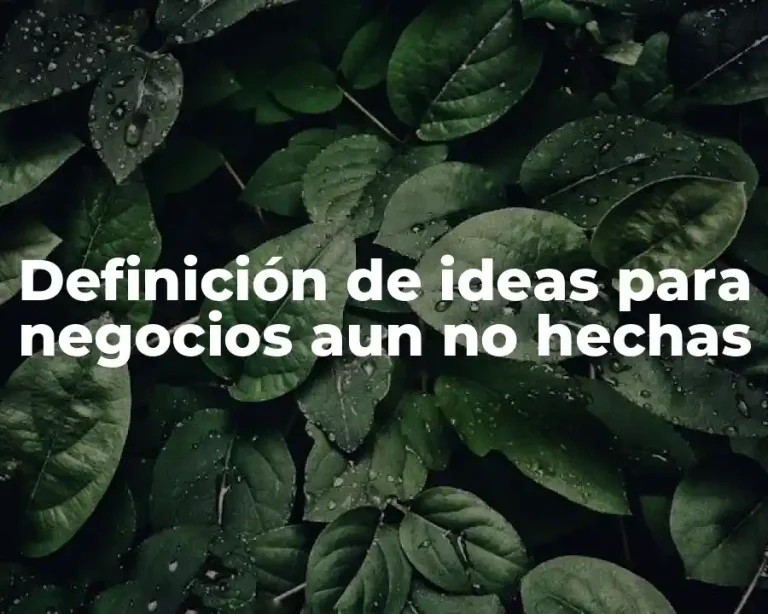 Definición de ideas para negocios aun no hechas