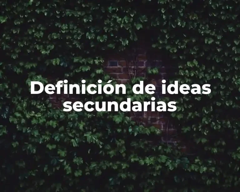 Definición de ideas secundarias