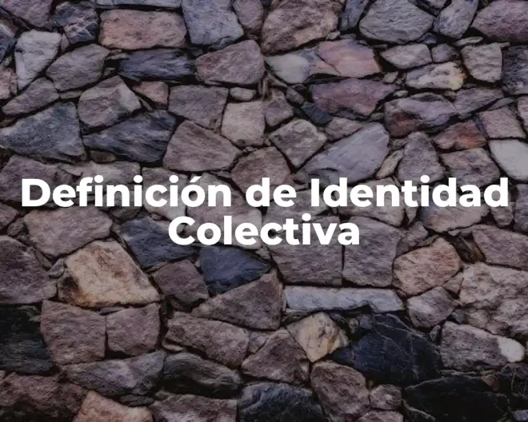 Definición de Identidad Colectiva