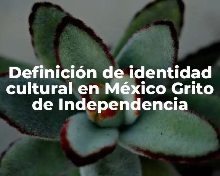 Definición de identidad cultural en México Grito de Independencia