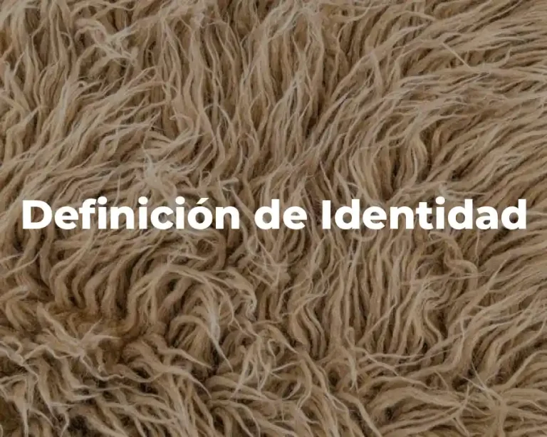 Definición de Identidad