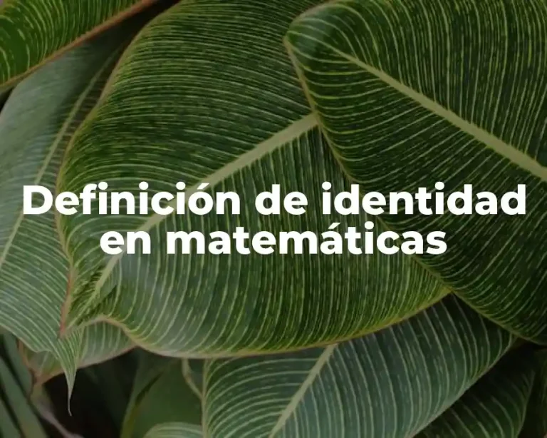 Definición de Identidad en Matemáticas