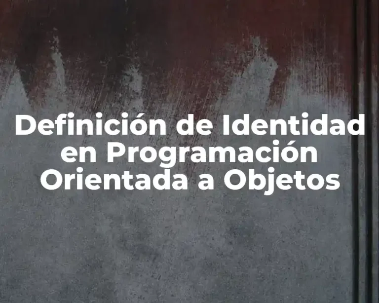 Definición de Identidad en Programación Orientada a Objetos